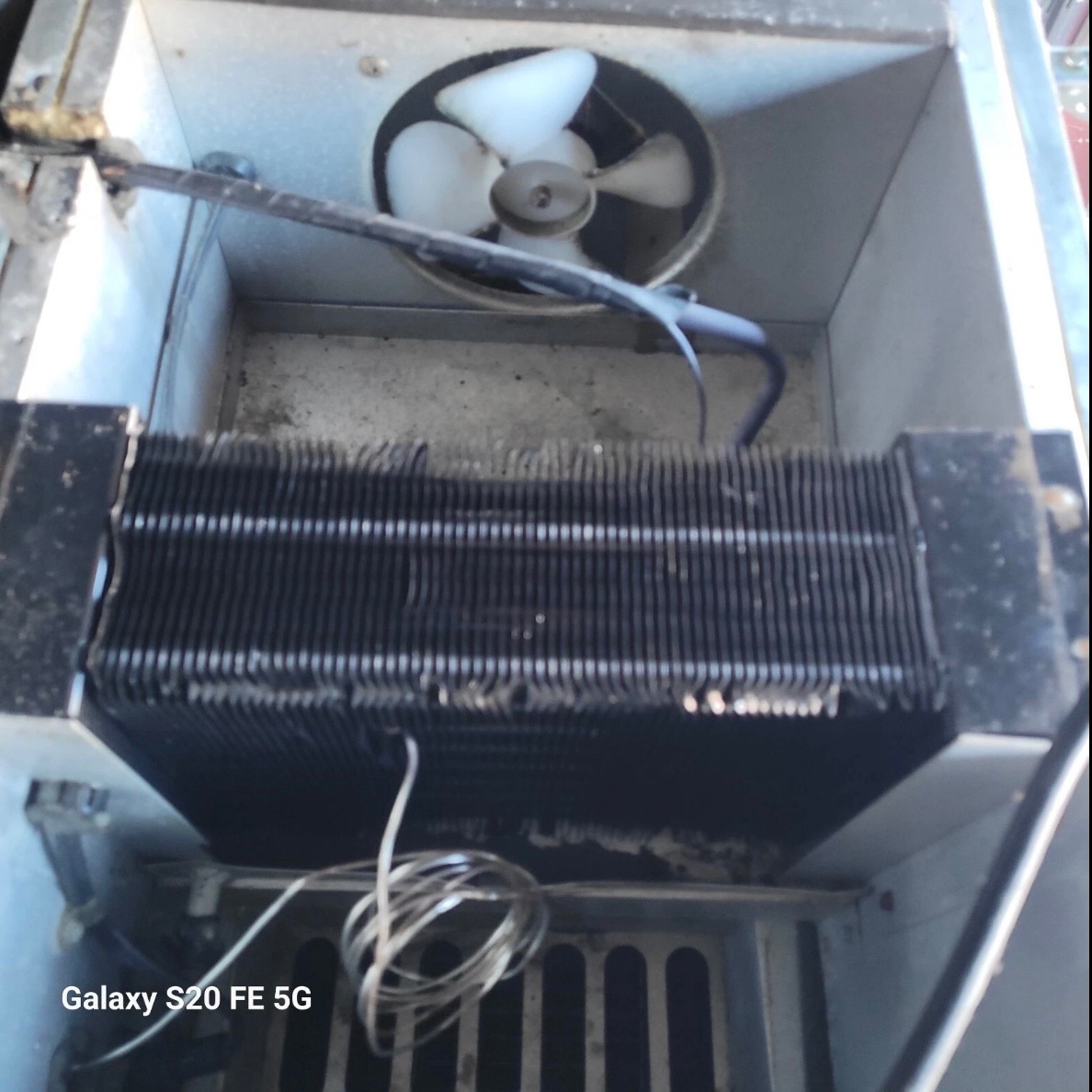 Commercial Refrigerator Victory 500266 4